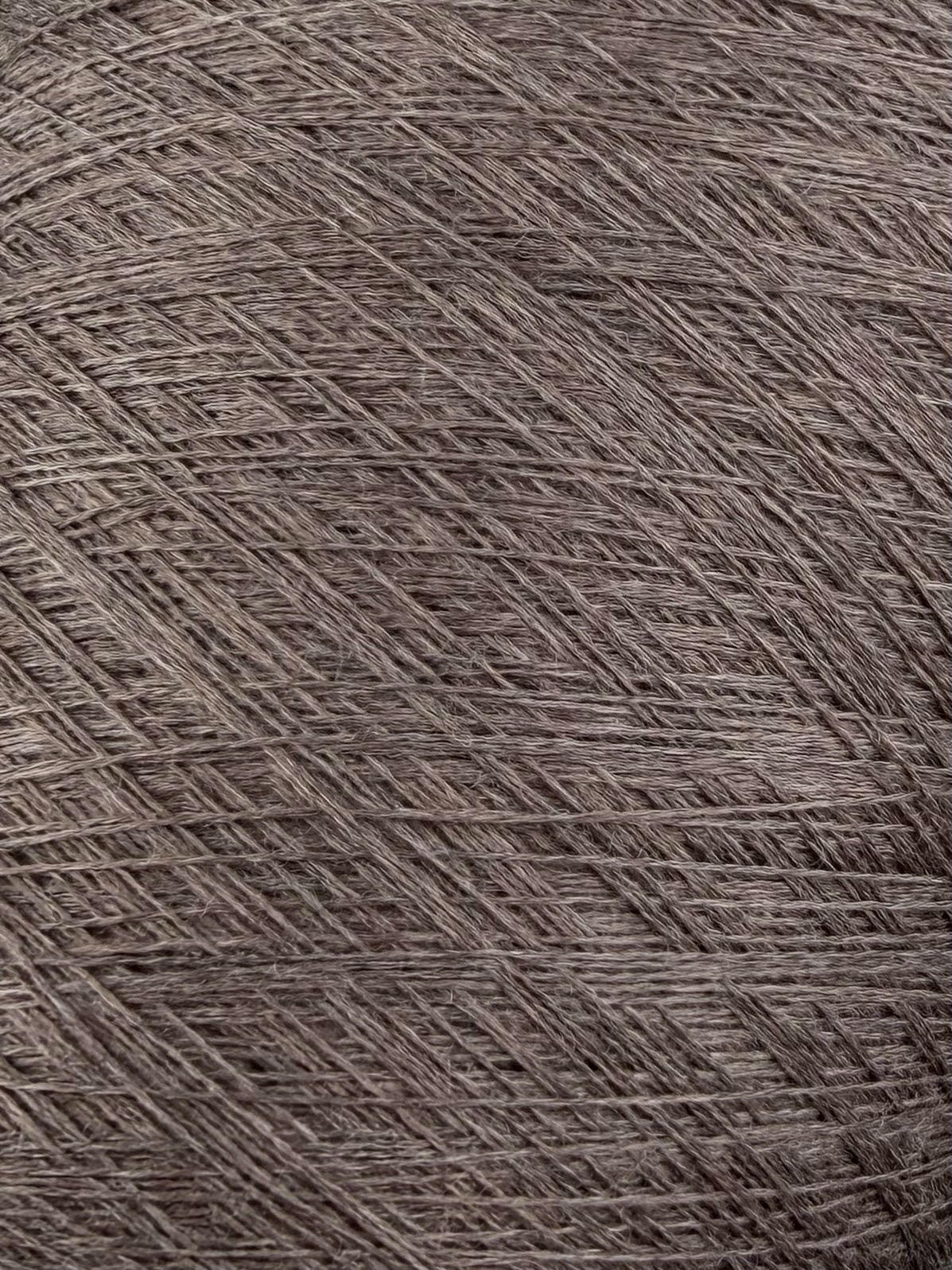 Tollegno 1900 Harmony Nm 2/30 – 100 % Merinowolle extrafein, col. Castoro/bormio 20606